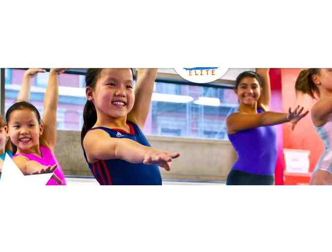NYC ELITE GYMNASTICS - (1) Week of Half-Day Summer Camp 2019