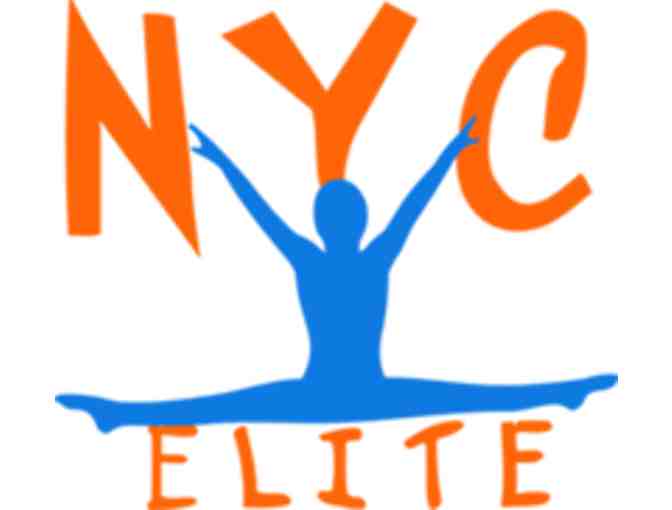 NYC ELITE GYMNASTICS - (1) Week of Half-Day Summer Camp 2019