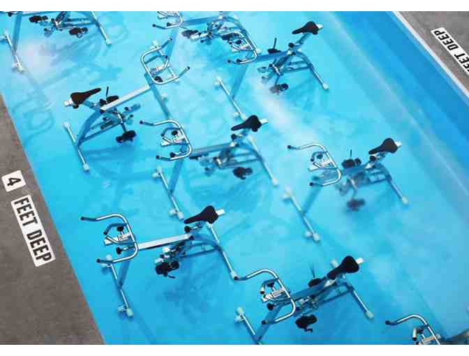 AQUA STUDIO NY - (5) Class Card