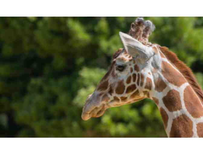 Oakland Zoo Family Day Pass ($100 Value)