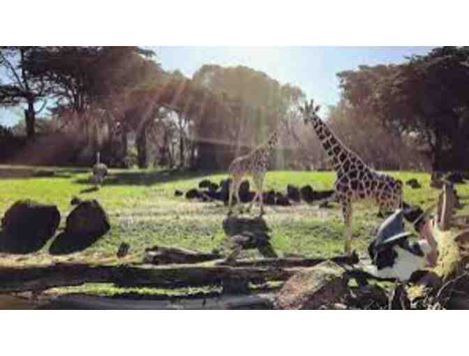 San Francisco Zoo - Individual Plus Membership