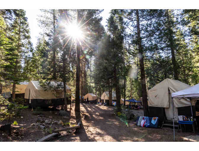 Lair of the Golden Bear - 6 Day Stay Family Camp Experience August 10-16, 2024