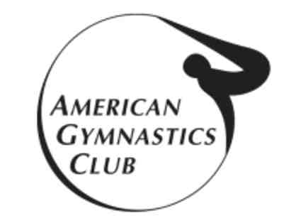 American Gymnastics Club - One Year Membership