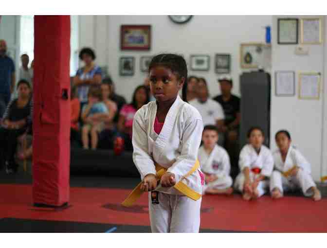 Arnott Kenpo Karate - 3 month membership - valued at $455