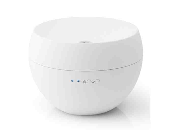 DOTERRA Basket and consultation with Waverly mom, Tina