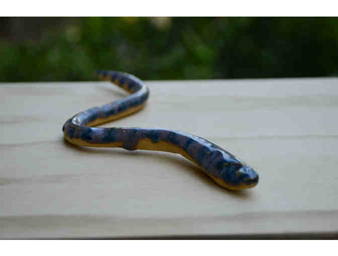 Snake, long, striped