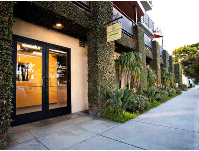 South Pasadena Arts & Music Academy - one month of private lessons