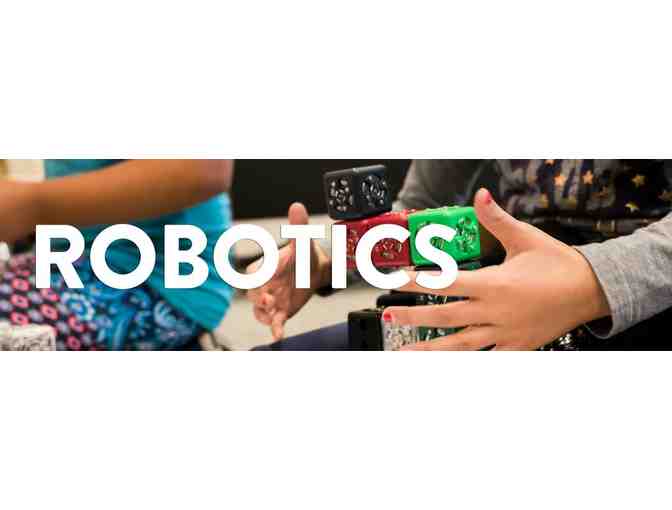 Steve and Kate's Camp - 5 Days at Pasadena Summer Camp - $500 value