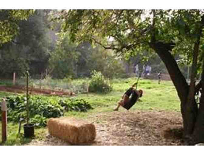 Fund a Need (aka Paddle Raise) for the Farm - $100