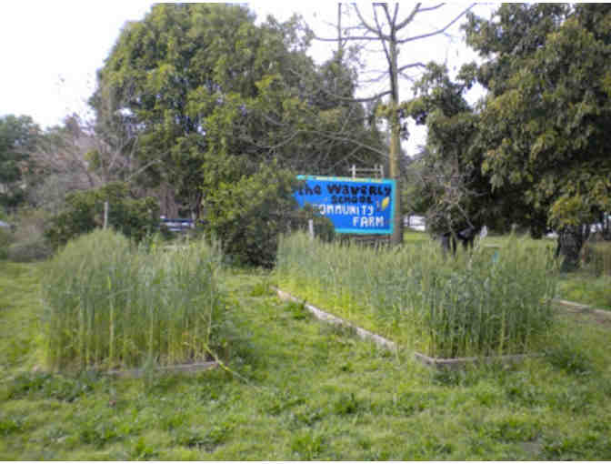 Fund a Need (aka Paddle Raise) for the Farm - $500