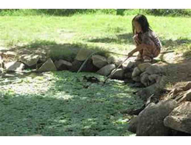 Fund a Need (aka Paddle Raise) for the Farm - $250