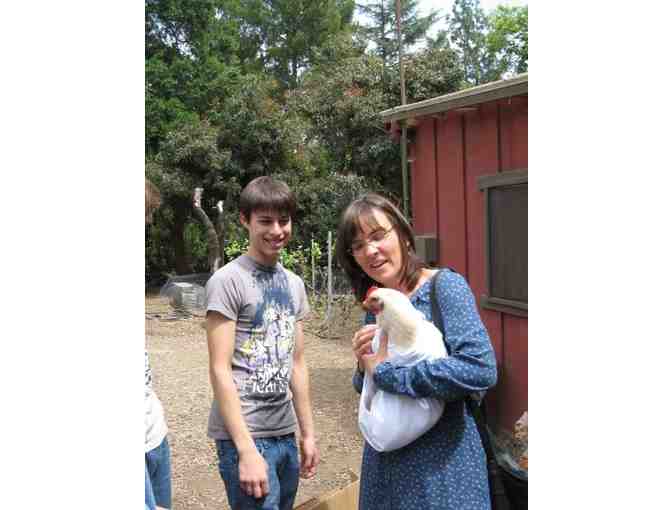 Commemorative Bricks to Create 'Heidi's Path' at The Farm