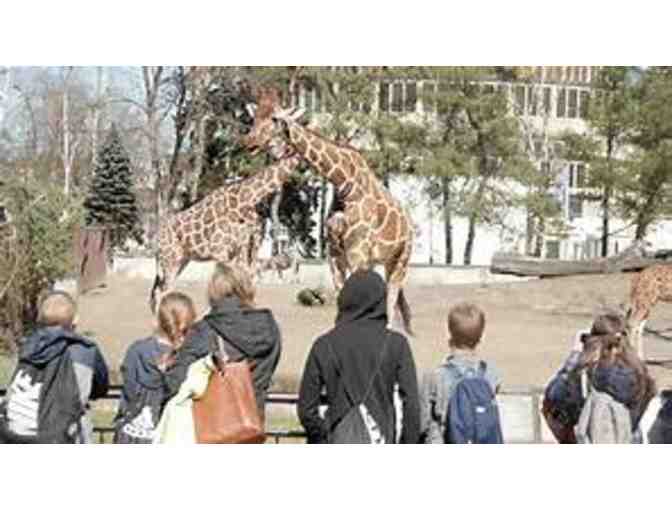 Afternoon with Waverly Teacher, Stina