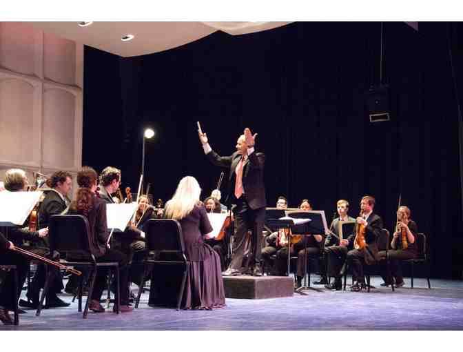 2 tickets to Wisconsin Chamber Orchestra