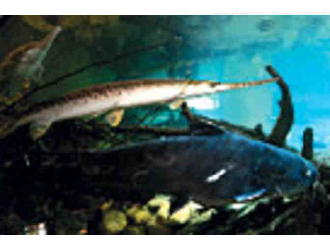 National Mississippi River Museum & Aquarium tickets for 2