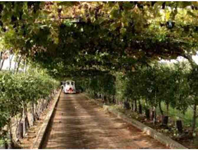 4 Day Passes to Belkin Family Lookout Farm