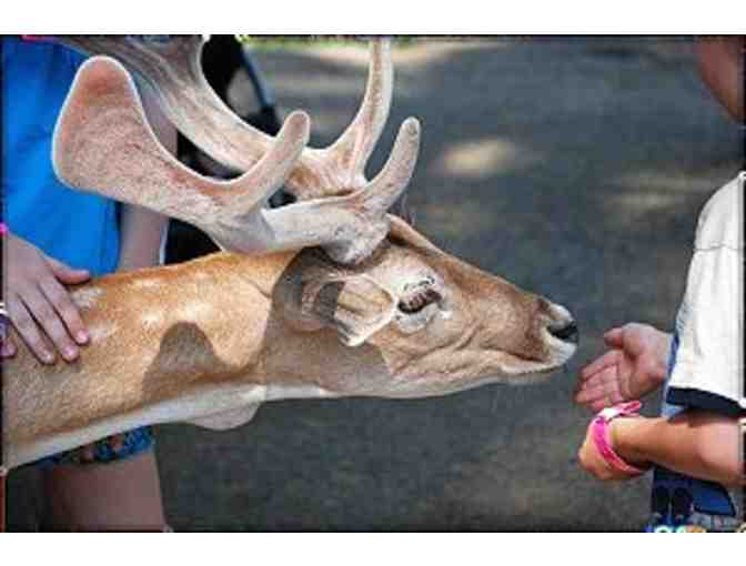 York's Wild Kingdom - 4 VIP Passes for Zoo and Amusement Park