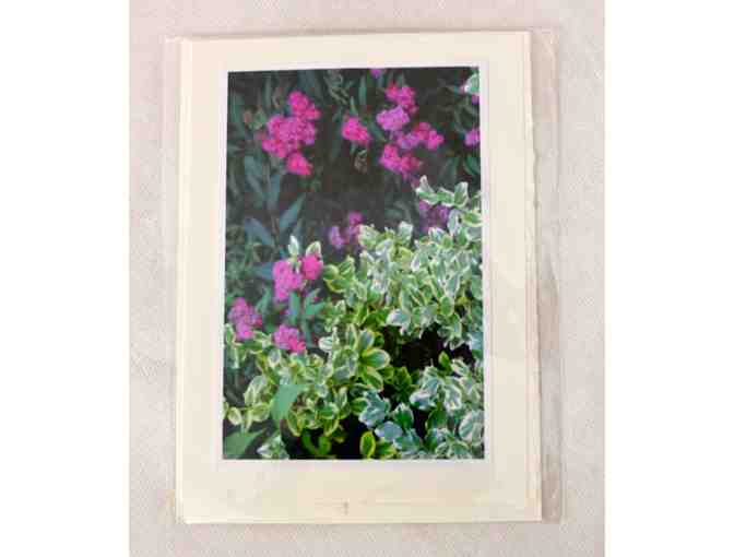 Mary Ellen McDonough - Flower Photography Notecards (10 pack)