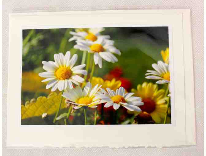 Mary Ellen McDonough - Flower Photography Notecards (10 pack)