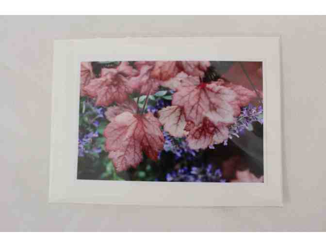 Mary Ellen McDonough - Flower Photography Notecards (10 pack)