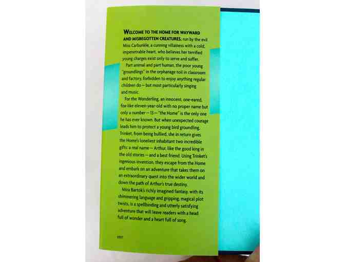 Young Adult Hardcover Books, 2 pack