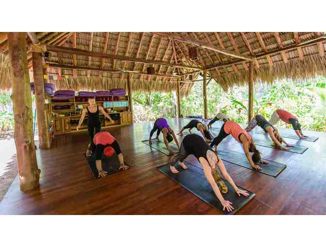 One Week at a Colibri Boutique Hotel - Your Choice!