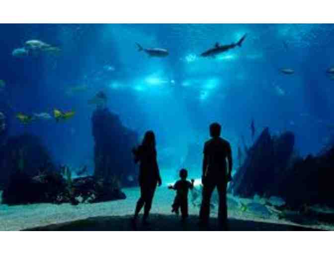 Two Tickets to The Aquarium of the Pacific