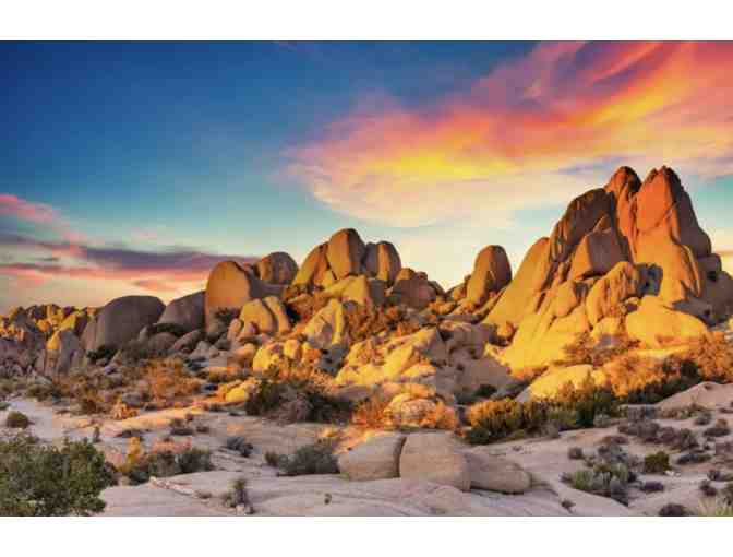 4-Day Escape to Joshua Tree