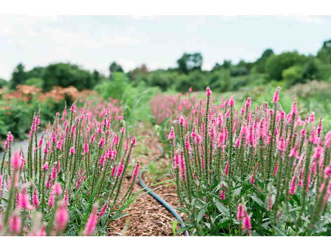 $100 Vermont Flower Collective Gift Card