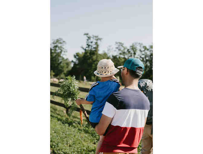 $100 Gift Certificate to Philo Ridge Farm