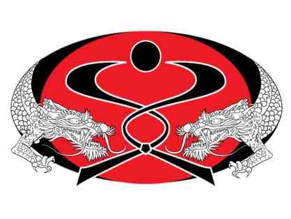 Dragon Mixed Martial Arts Package