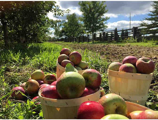 Tour & Tasting at Spirit Tree Estate Cidery