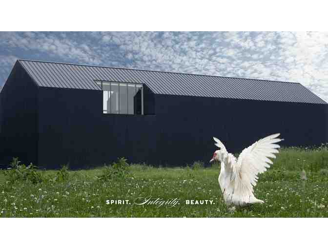 Private Tour and Tasting at Pearl Morissette Estate Winery