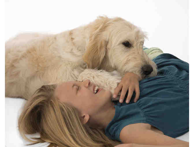 Child/Family Portrait Photography Certificate