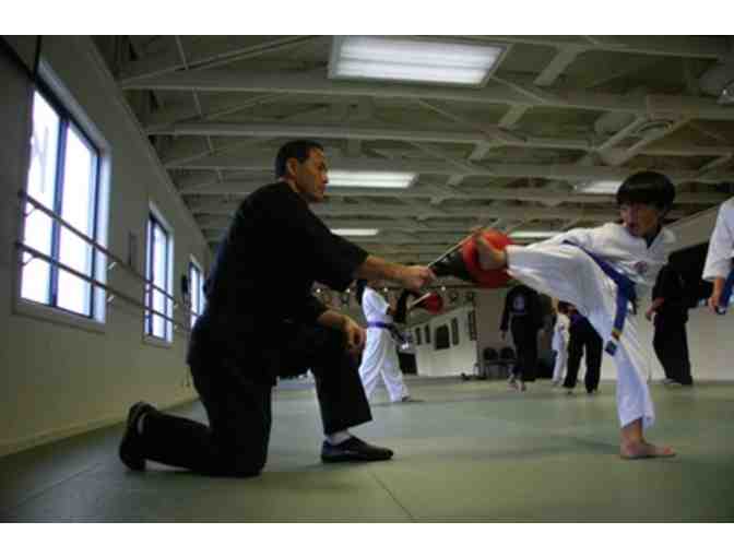 HapKiDo USA Martial Arts: 1 Month of Classes, Uniform and Private Lesson