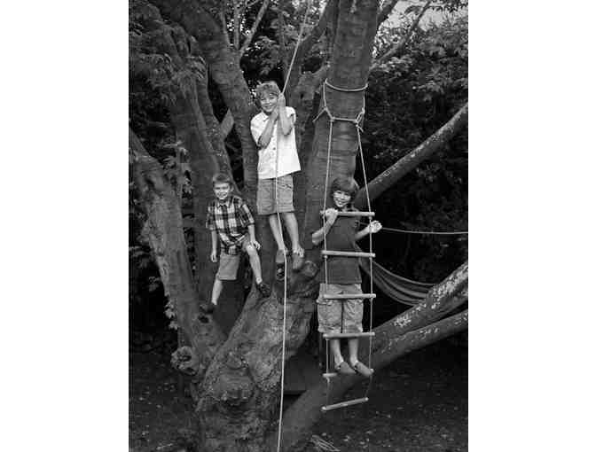 Ets-Hokin Studio: Family Portrait Session + Matted 16x20 Photo or $500 Studio Credit