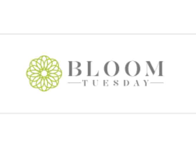 Bloom Tuesday: A Month of Bloom & Air Cleaning Spider House Plant (4')!