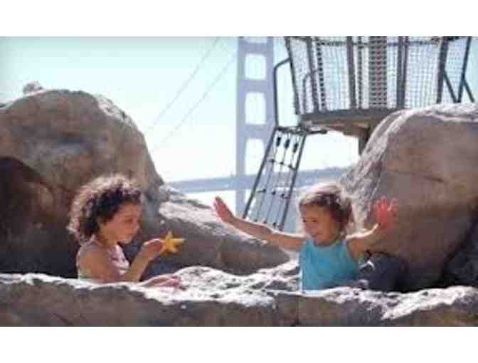 Bay Area Discovery Museum: Family Pass
