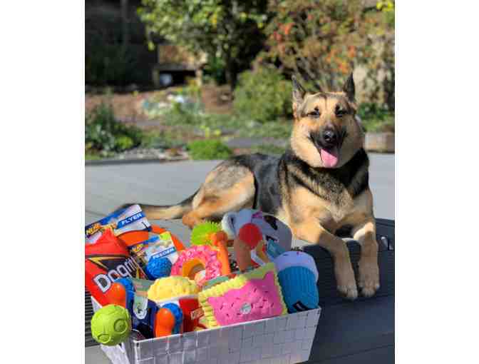 Everything But the Dog!