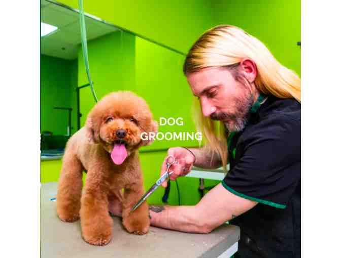 Healthy Spot Signature Spa Treatment for Dogs