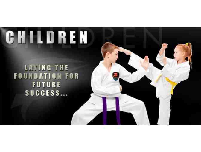 Z Ultimate Self Defense - One Month of Private & Group Instruction