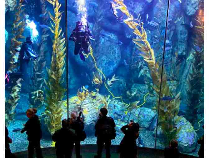Aquarium of the Pacific - 2 Passes