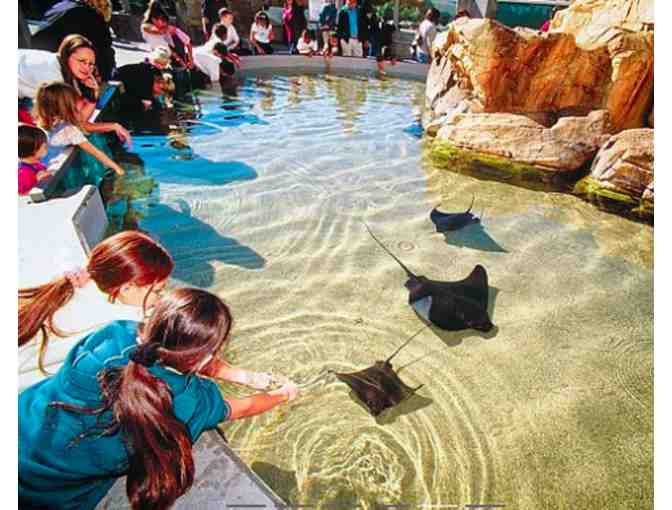 Aquarium of the Pacific - 2 Passes