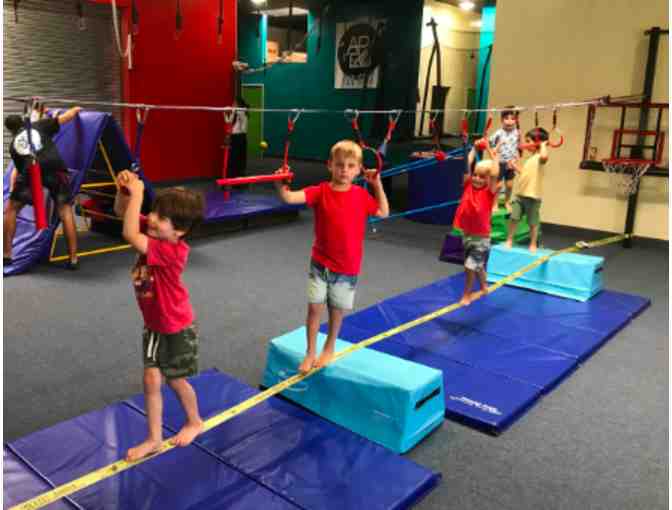 Apex for Kids - Four Classes or Six Open Gyms