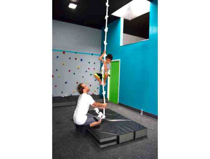 Apex for Kids - Four Classes or Six Open Gyms