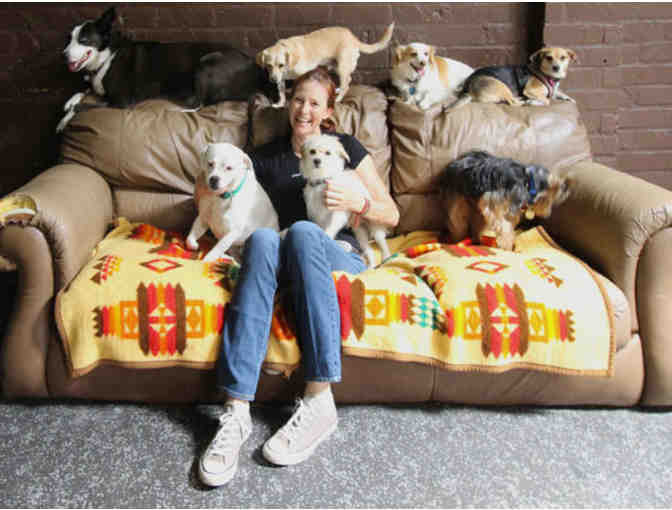 Urban Dog - 2 Days of Playcare