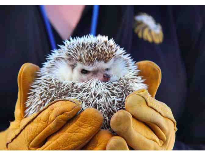 America's Teaching Zoo - Family Membership