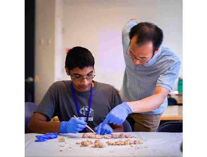 Education Unlimited - $500 Toward Day Camp Program