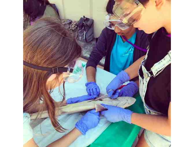 Education Unlimited - $500 Toward Day Camp Program