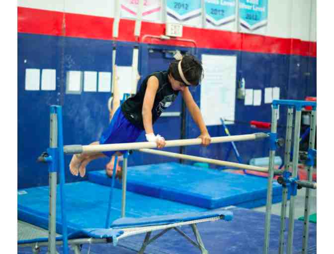 JAG Gym - A Day of Camp for Two Kids